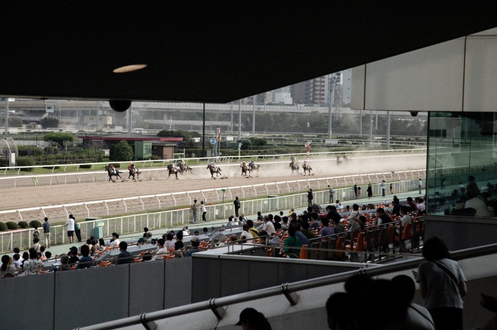 競馬場 風景